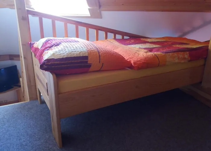 Casa de hóspedes Ve Stare Skole